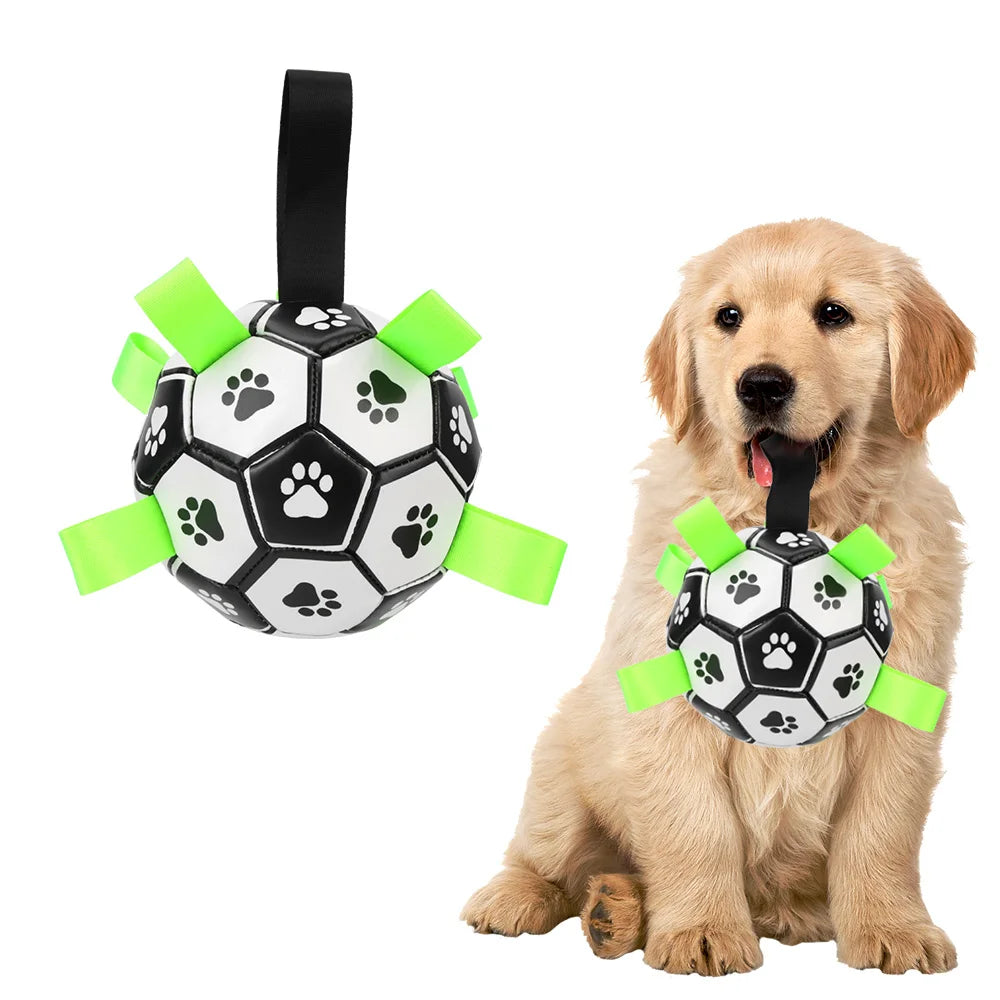 Interactive Pet Football 