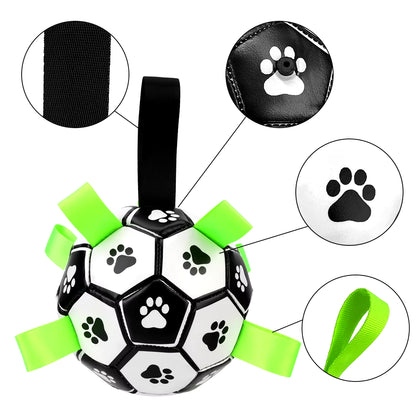 Interactive Pet Football 